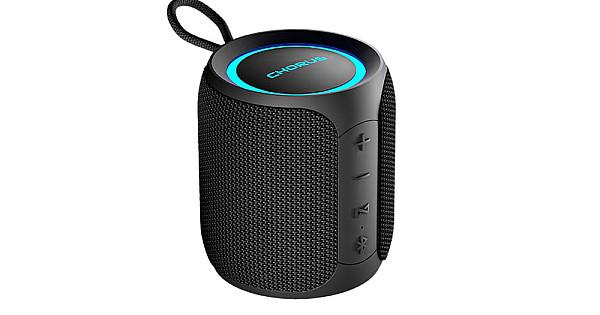 Walton PS16 Portable Water-proof Bluetooth Speaker